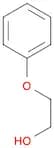 Ethoxylated phenol