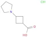 3-(Pyrrolidin-1-yl)cyclobutane-1-carboxylic acid hydrochloride