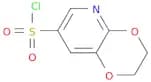 2,3-dihydro-[1,4]dioxino[2,3-b]pyridine-7-sulfonyl chloride