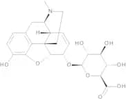 Morphine-6-β-D-glucuronide