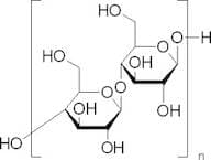 Cellulase Onozuka R-10 ex. Trichoderma Viride, 10000U/g powder