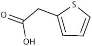 Thiophene-2-Acetic Acid pure, 98%