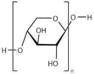 Xylan from Corn Cob, 95%