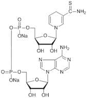 Thionicotinamide Adenine Dinucleotide Disodium Salt Reduced (Thio-NADH) extrapure, 93%
