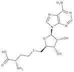 S-(5-Adenosyl)-L-Homocysteine extrapure, 99%