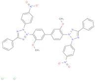 Nitro Blue Tetrazolium Chloride (Nitro BT) (NBT) for molecular biology, 99%