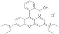 Rhodamine B