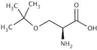 O-tert-Butyl-L-Serine extrapure, 97%