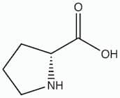 D-Proline extrapure CHR, 99%