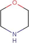 Morpholine ACS, 99%