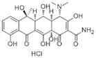 Oxytetracycline Hydrochloride (OTC), 95%