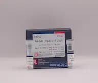 KspAI (HpaI) (10U/mcl)