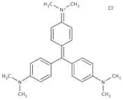 Crystal Violet (Gentian Violet)