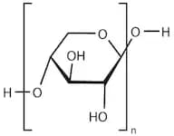 Xylan from Corn Cob, 95%