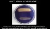 Starch Agar