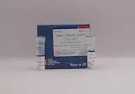 HaeIII (BsuRI, BshFI) (10U/ul)