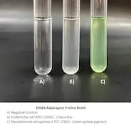 Asparagine Proline Broth