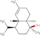 Immersion Oil Synthetic for microscopy