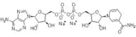 ß-Nicotinamide Adenine Dinucleotide Disodium Salt  (Reduced) (ß-NADH.Na2, DPNH.Na2) extrapure, 98%