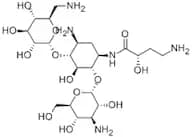 Amikacin (AMK) free base, 98%