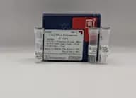 TAQ DNA Polymerase (5U/mcl)