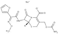 Cefuroxime Sodium Salt, 86-100%