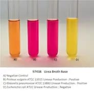 Urea Broth Base