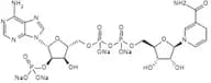 ß-Nicotinamide Adenine Dinucleotide Phosphate Tetrasodium Salt (Reduced)(ß-NADPH.Na4) extrapure, 9…