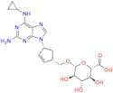 Abacavir 5\'-β-D-Glucuronide