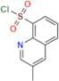 3-Methyl-8-quinolinesulfonyl Chloride