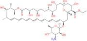 Amphotericin B Ethyl Ester