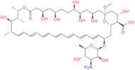 (13S)-13-O-Methylamphotericin B