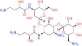 1,3\'\'-Di-HABA Kanamycin A