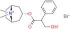 Atropine Methyl Bromide