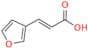 cis-3-Furanacrylic Acid