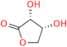 D-Erythronolactone