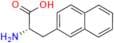 3-(2-Naphthyl)-L-alanine