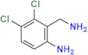 (6-​Amino-​2,​3-​dichlorobenzyl)​amine
