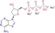 2'-Deoxyadenosine-5'-triphosphate Trisodium Salt