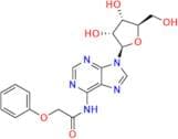 N-(2-Phenoxyacetyl)adenosine