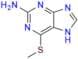 6-Methylthioguanine