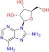 8-Amino Adenosine