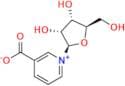 Nicotinic Acid Riboside