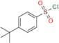 4-(tert-Butyl)benzene-1-sulfonyl chloride