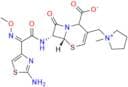 δ2-Cefepime