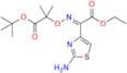 tert-Butyl (E)-2-(((1-(2-aminothiazol-4-yl)-2-ethoxy-2-oxoethylidene)amino)oxy)-2-methylpropanoate