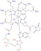 Vitamin B12 e-NHS Ester