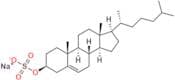 Sodium Cholesteryl Sulfate