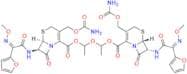 Cefuroxime Axetil Dimer