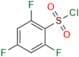 2,4,6-Trifluorobenzene-1-sulfonyl Chloride